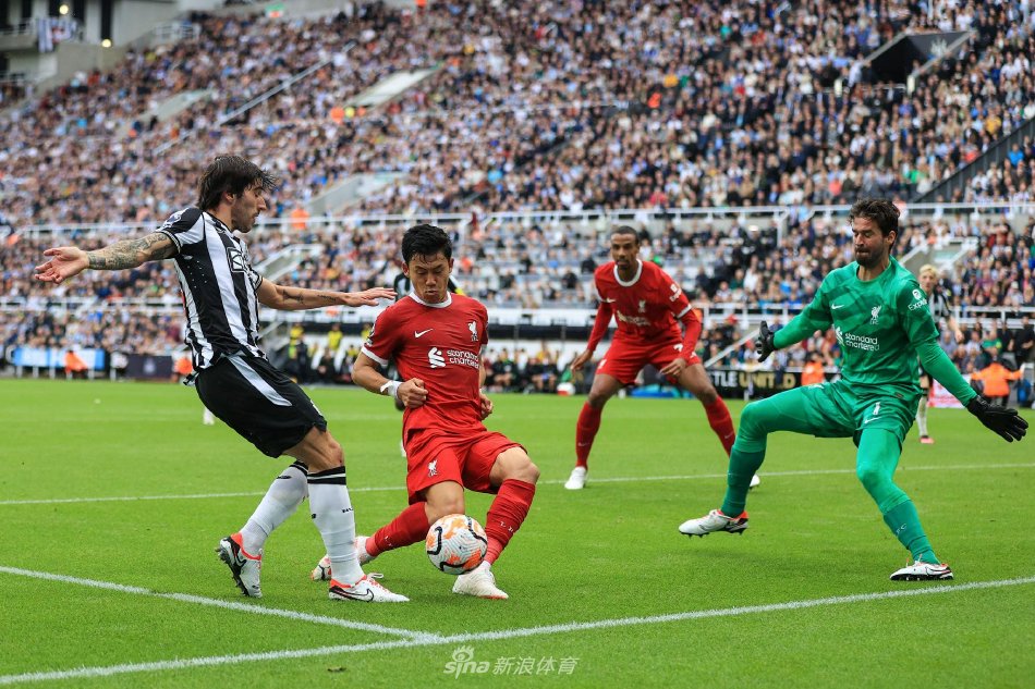 请执法本赛 请执法本赛