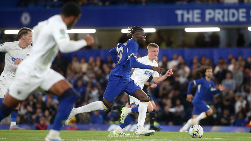 专家的广泛 专家的广泛